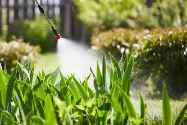 24/7 Emergency Cockroach Control experts in Port Gibson, MS