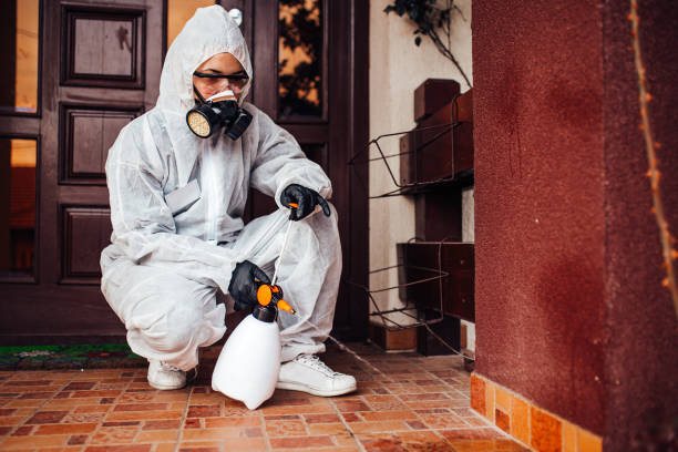 Reliable Cockroach Control contractor in Port Gibson, MS by Nex Pest Control