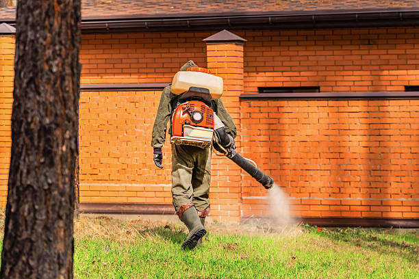 Trusted Cockroach Control service in Port Gibson, MS - Nex Pest Control
